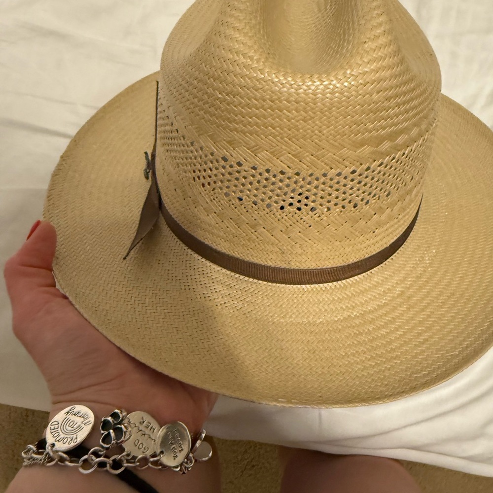 Stetson Brown and Tan Hat - Picture 4 of 11
